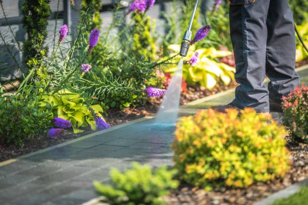 Best Fence Cleaning and Maintenance in West End, NY